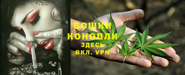 амф Лабытнанги