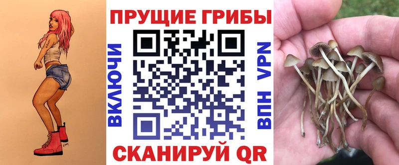 Галлюциногенные грибы ЛСД Усть-Джегута